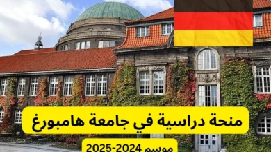 منحة دراسية في جامعة هامبورغ القائمة على أساس الجدارة 2024