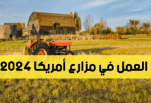 فرص للعمل في مزارع أمريكا لعام 2024