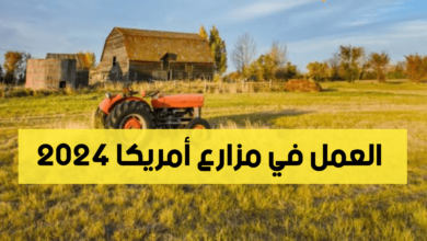 فرص للعمل في مزارع أمريكا لعام 2024