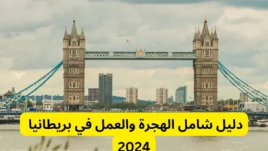 دليل شامل للهجرة والعمل في بريطانيا 2024