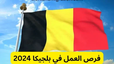 فرص العمل في بلجيكا 2024 وأجور العمال