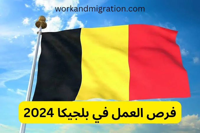 فرص العمل في بلجيكا 2024 وأجور العمال