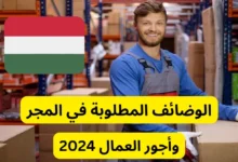 الوظائف المطلوبة في المجر وأجور العمال 2024