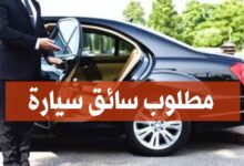 مطلوب سائق سيارة في سفارة مصر بالجزائر