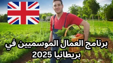 تعرف على برنامج العمال الموسميين في بريطانيا 2025